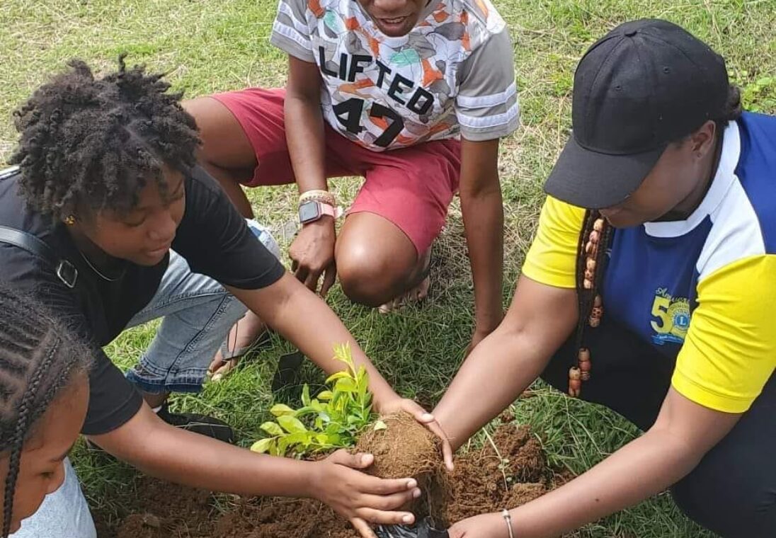 WhatsApp Image 2024-03-26 at 1.15.45 PM WhatsApp Image 2024-03-26 at 1.15.45 PM