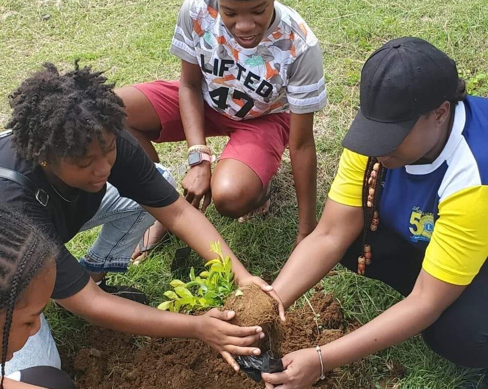 WhatsApp Image 2024-03-26 at 1.15.45 PM